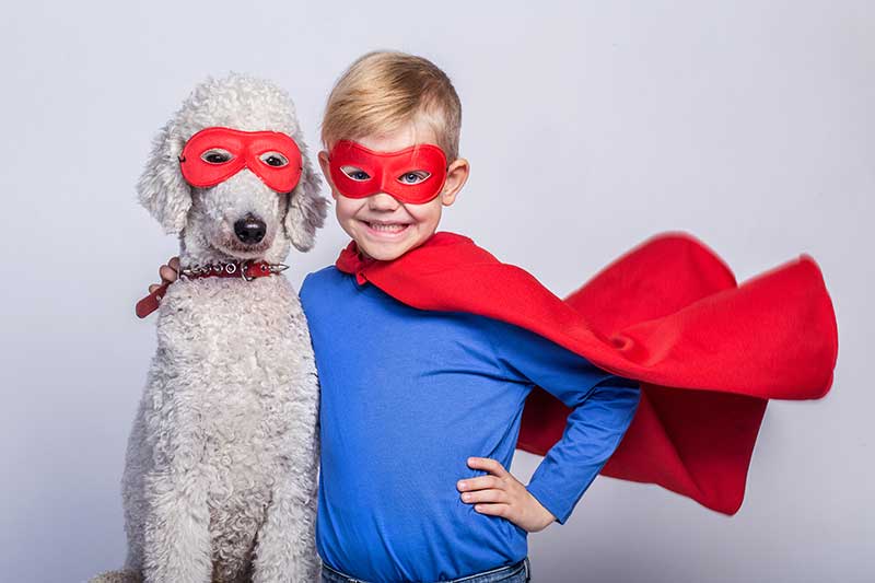 Homes for Heroes program